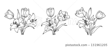 Lily and Tulip flower arrangement line art on white background. Silhouette botanical hand drawn element for wedding, invitation frame design, vector illustration 131961205