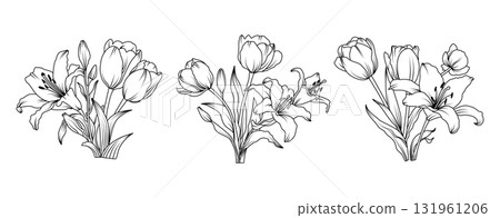 Lily and Tulip flower arrangement line art on white background. Silhouette botanical hand drawn element for wedding, invitation frame design, vector illustration 131961206