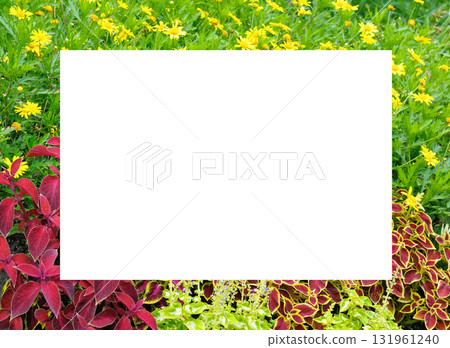 Floral Frame of Yellow and Red Foliage with Blank Area 131961240