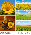 Agriculture and Oil Production Photo Mosaic 131961245