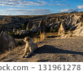 Cappadocia, Turkey: A group of strange rock formations illuminated by the morning sun and a dog looking over them 131961278