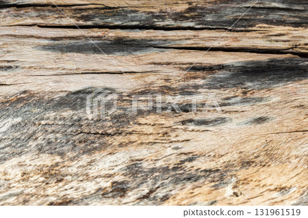 A close-up of weathered wood showing grain, knots, and natural color variation A close-up of weathered wood showing grain, knots, and natural color variation 131961519