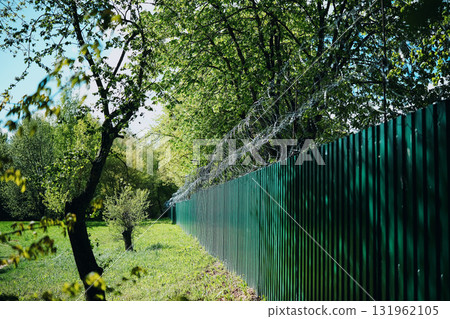 Green Fence With Barbed Wire Green Fence With Barbed Wire 131962105