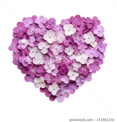 heart shaped arrangement of pink and purple hydrangea flowers creates romantic and vibrant display, symbolizing love and beauty. delicate petals form harmonious blend of colors 131962230