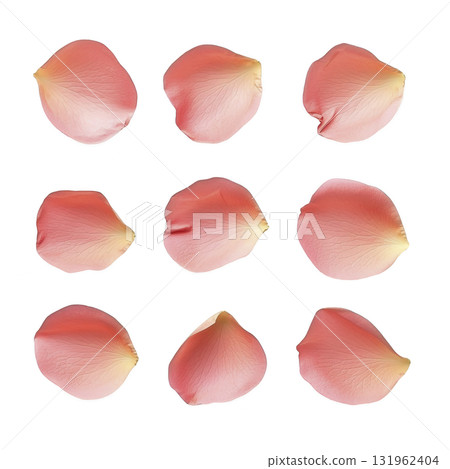 Nine delicate pink rose petals are arranged in grid pattern against transparency background, showcasing their soft texture and gentle gradient from pink to cream 131962404