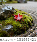 Close-up of a Japanese garden in autumn: vibrant red maple leaves fallen on wet moss Close-up of a Japanese garden in autumn: vibrant red maple leaves fallen on wet moss 131962421