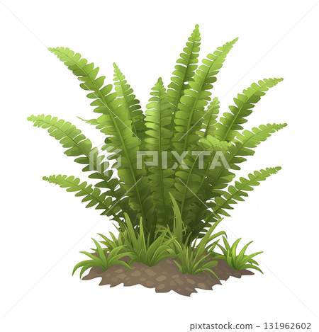 lush green fern plant with vibrant fronds and small grass at base, set against transparent background, showcasing its natural beauty 131962602