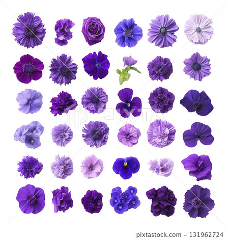vibrant collection of various purple flowers arranged grid pattern, showcasing different shades and types. assortment includes roses, pansies, and other blossoms, highlighting beauty and diversity 131962724