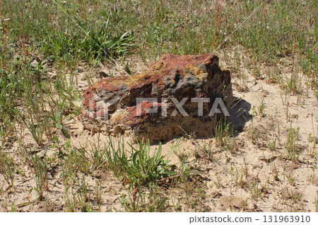 Unknown Grave in Historic Cemetery Marked With Large Rock Unknown Grave in Historic Cemetery Marked With Large Rock 131963910