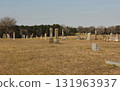Historic Elkins Cemetery In Omen Texas 131963937