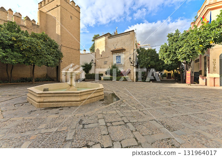 Fountain of the Plaza de la Alianza 131964017