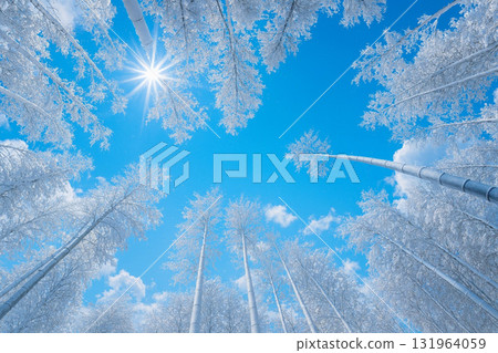 高台寺竹林雪景與光線 高台寺竹林雪景與光線 131964059