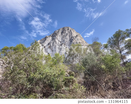 Experience a Majestic Mountain View Perfectly Surrounded by Beautiful Lush Greenery 131964115