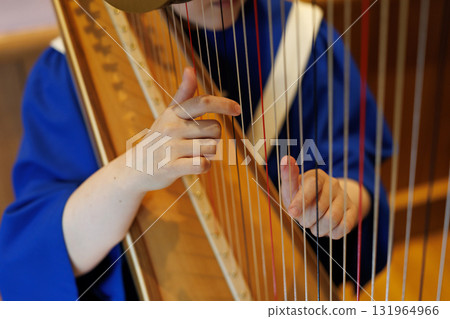 彈豎琴的人 131964966