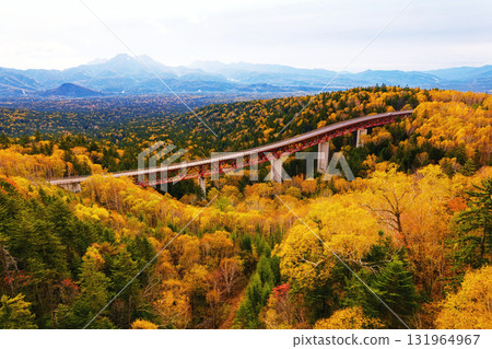 秋天Mikani 131964967