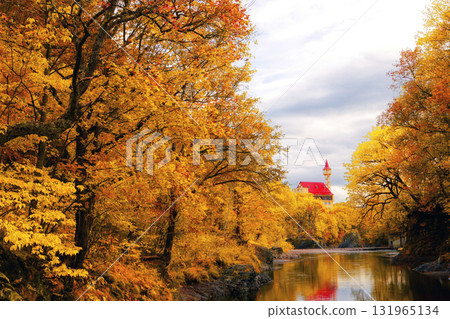 Landscape with autumn leaves Landscape with autumn leaves 131965134