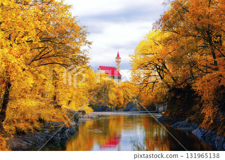 Landscape with autumn leaves Landscape with autumn leaves 131965138