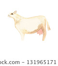 White Angus is the most popular beef cattle breed for beef steaks. Cow. Character for packaging, children's book and encyclopedia. Isolated watercolor illustration in retro style. Clipart. 131965171