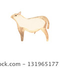 White Angus is the most popular beef cattle breed for beef steaks. Bull. Character for packaging, children's book and encyclopedia. Isolated watercolor illustration in retro style. Clipart. 131965177
