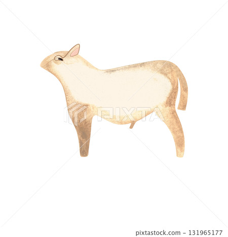 White Angus is the most popular beef cattle breed for beef steaks. Bull. Character for packaging, children's book and encyclopedia. Isolated watercolor illustration in retro style. Clipart. White Angus is the most popular beef cattle breed for beef steaks. Bull. Character for packaging, children's book and encyclopedia. Isolated watercolor illustration in retro style. Clipart. 131965177