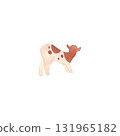 The Ayrshire is a Scottish breed of dairy cattle. Calf. Cow. Character for packaging, children's book and encyclopedia. Isolated watercolor illustration in retro style. Clipart. 131965182