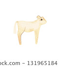 White Angus is the most popular beef cattle breed for beef steaks. Calf. Character for packaging, children's book and encyclopedia. Isolated watercolor illustration in retro style. Clipart. 131965184