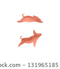 Piglets in two poses: little lying sleeping newborn pink piglet and cheerful playful pink piglet. Farm animals. Isolated watercolor illustration for children's encyclopedia. 131965185