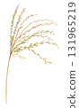 bush of grass painted with watercolor - an element for creating textile and postcard designs 131965219