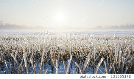 A hyperrealistic low-angle view of golden grass blades covered in sparkling ice and snow, illuminated by a bright winter sun. 131965378