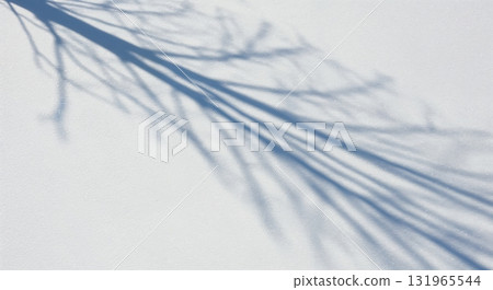 Abstract view of intricate tree branch shadows stretching diagonally across a bright white textured surface, creating a calming minimalist pattern. 131965544