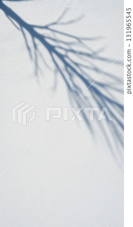 An abstract pattern formed by the detailed shadow of a bare tree branch, featuring multiple fine twigs, extends across a bright white textured background with soft, diffused lighting. 131965545