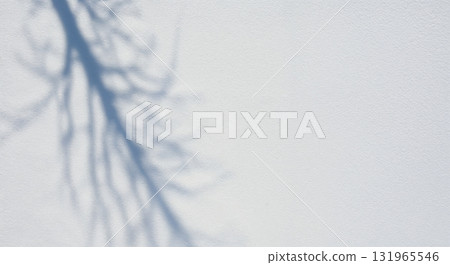 A delicate shadow of a bare tree branch gracefully extends across a textured white wall surface under bright daylight, offering ample copy space. A delicate shadow of a bare tree branch gracefully extends across a textured white wall surface under bright daylight, offering ample copy space. 131965546