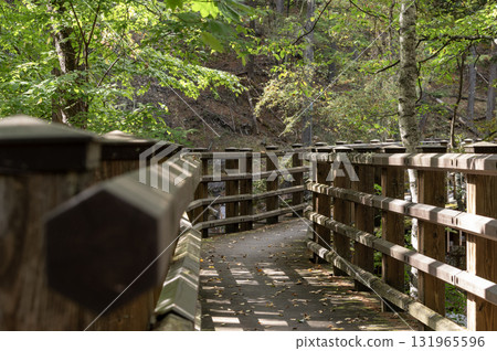 A wooden bridge over the source of the Chikuma River on Mount Kobushigatake 131965596