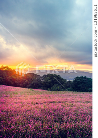 [Sunrise] Akasoba Village [Minowa Town, Kamiina District] 131965611