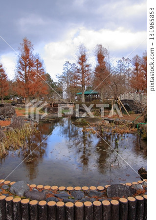 滋賀縣草津市草津市水生植物公園、水上森林和樹冠步道 131965853