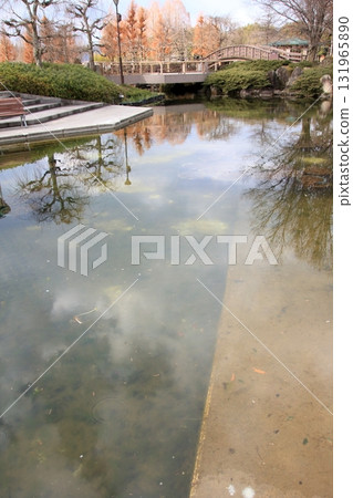 滋賀縣草津市草津市水生植物公園、水上森林和樹冠步道 131965890