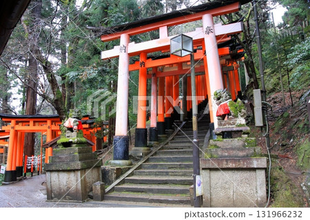 京都:伏見稻荷大社及其千座鳥居 京都:伏見稻荷大社及其千座鳥居 131966232