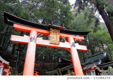 Kyoto: Fushimi Inari Shrine with its thousand torii gates 131966234