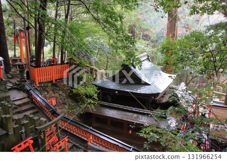 京都：伏見稻荷大社及其千座鳥居 131966254