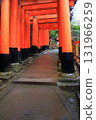 Kyoto: Fushimi Inari Shrine with its thousand torii gates 131966259