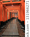 Kyoto: Fushimi Inari Shrine with its thousand torii gates 131966271