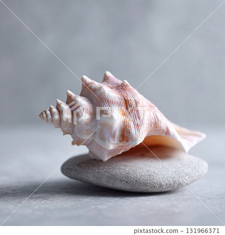 Elegant seashell resting on a smooth grey stone. Minimalist zen aesthetic. Perfect for spa, relaxation, ocean, or nature themed designs. Calm, soothing, and balanced. Elegant seashell resting on a smooth grey stone. Minimalist zen aesthetic. Perfect for spa, relaxation, ocean, or nature themed designs. Calm, soothing, and balanced. 131966371