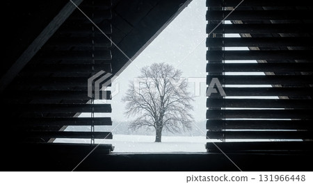 A first-person perspective view through partially open dark blinds reveals a solitary bare tree in a vast snowy winter landscape with falling snow. A first-person perspective view through partially open dark blinds reveals a solitary bare tree in a vast snowy winter landscape with falling snow. 131966448