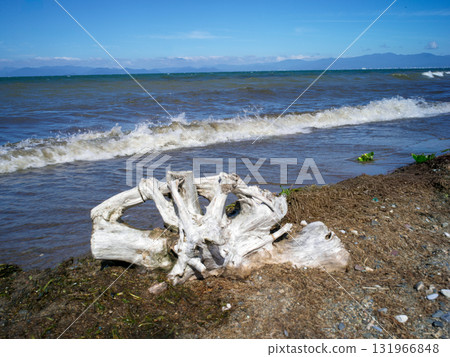 Lake Biwa Lakeside 131966848