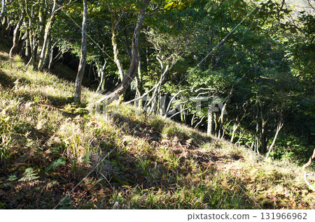 Suzuka's highest peak: Mt. Miike 131966962