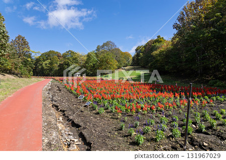 Autumn at Tanbara Plateau, Irodori Hill, Numata City, Gunma Prefecture 131967029