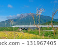 東海道新幹線 N700S 穿過伊吹山麓，那裡晴朗的天空下，芒草盛開。 131967405