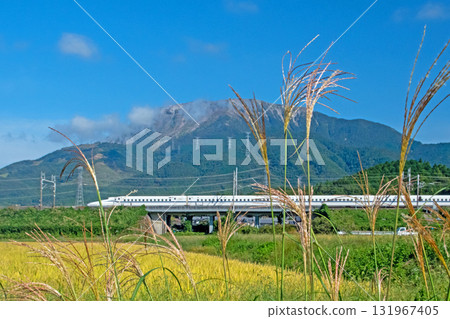 東海道新幹線 N700S 穿過伊吹山麓，那裡晴朗的天空下，芒草盛開。 131967405