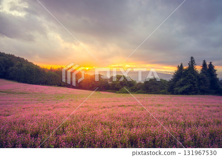 [Sunrise] Akasoba Village [Minowa Town, Kamiina District] 131967530