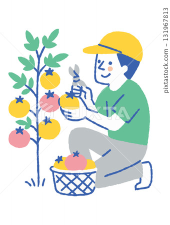 番茄田裡勞動的農民_顏色 131967813